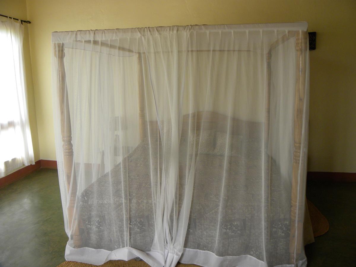 Olea Africana Lodge Karatu Eksteriør billede