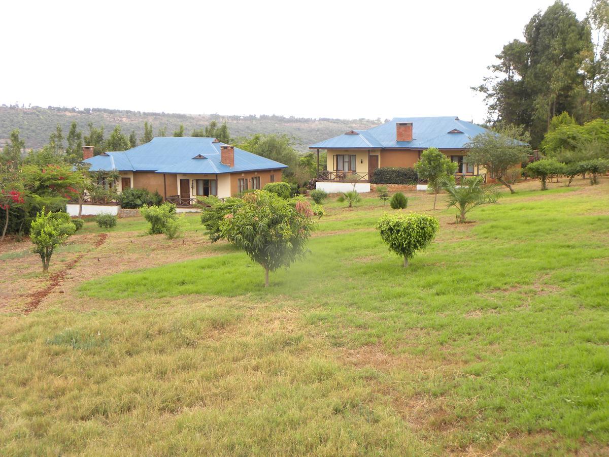 Olea Africana Lodge Karatu Eksteriør billede